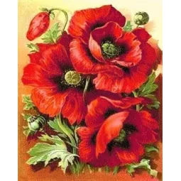 Deimantų tapybos rinkinys Bright Poppies 30х38 cm AZ-1135