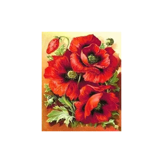 Deimantinio dažymo rinkinys Bright Poppies 30х38 cm AZ-1135