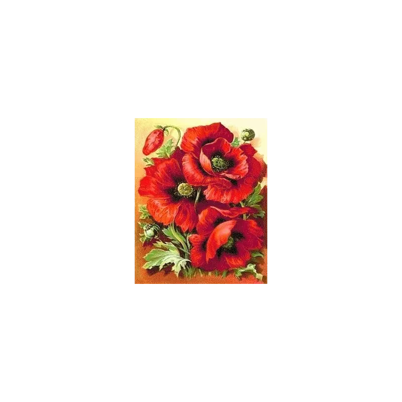 Deimantinio dažymo rinkinys Bright Poppies 30х38 cm AZ-1135