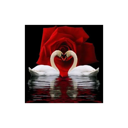 Diamant Malerei Set Schwan Devotion 50x55 cm AZ-421