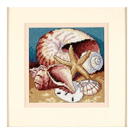 Collage de coquillages D07219