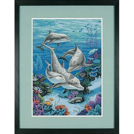 The Dolphins Domain D03830