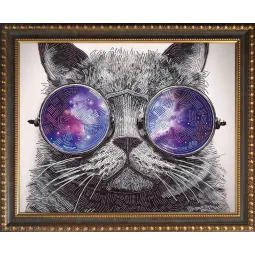 (Discontinued) Diamond painting kit Cat with Glasses 40х50 cm AZ-3003