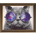 (Discontinued) Diamond painting kit Cat with Glasses 40х50 cm AZ-3003