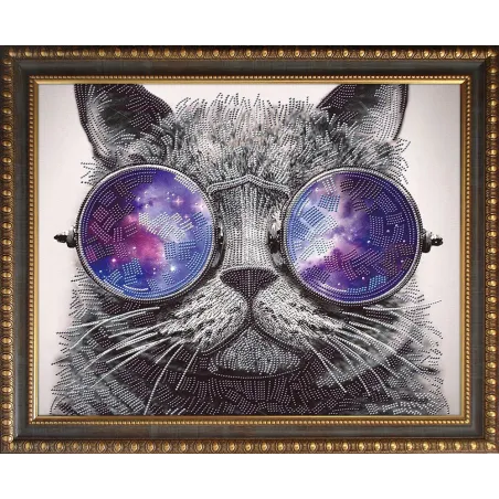 (Discontinué) Kit de peinture diamant Chat avec lunettes 40х50 cm AZ-3003