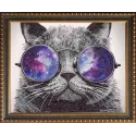 (Discontinué) Kit de peinture diamant Chat avec lunettes 40х50 cm AZ-3003