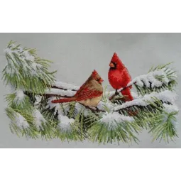Winter Cardinals D35178