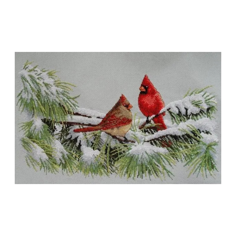 Cardinaux d'hiver D35178
