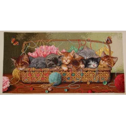 Kraikas katėms D35184