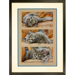 Кот Макс D70-35301