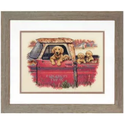 Golden Ride D70-35405