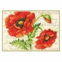 Paire de coquelicots D70-65116