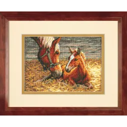 Good Morning D70-65119