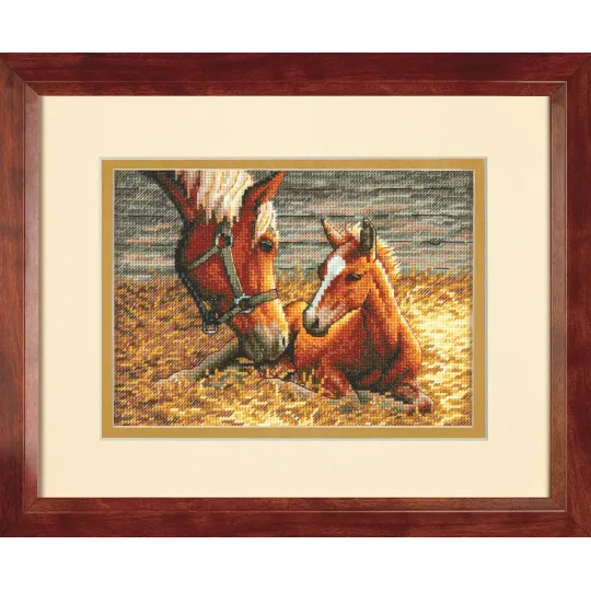 Good Morning D70-65119