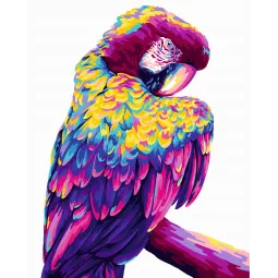 Paveikslas pagal skaičius rinkinys. H140 Papūga Pop Art 40*50