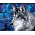 Wizardi painting by number kit. Polar wolf 40x50 cm H150