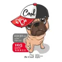 Pug BE COOL DDPZ-009