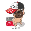 Mops sei cool DDPZ-009