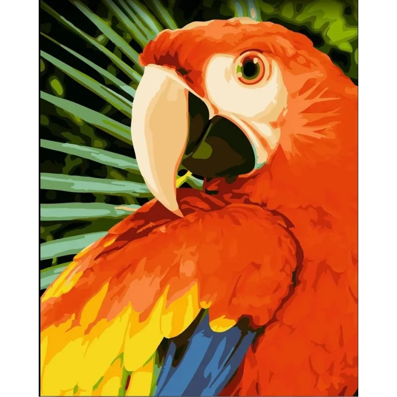 Wizardi painting by number kit. Macaw 40x50 cm H154