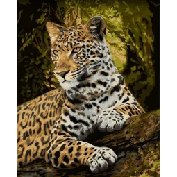 Wizardi painting by number kit. Honorable gaze 40x50 cm H159