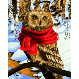 SALE (Nutrauktas) Wizardi paveikslėlių pagal numerius rinkinys Šiltas šalikas 40x50 cm L022