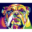 Wizardi Malen nach Zahlen-Set. Englische Bulldogge 16x13 cm MINI016