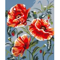 Wizardi painting by number kit. Poppies 13x16 cm MINI026