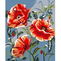 Kit de peinture par numéros Wizardi. Coquelicots 13x16 cm MINI026