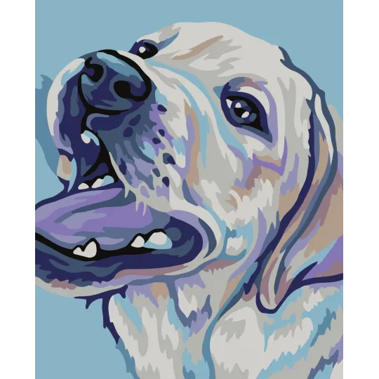 Wizardi Malen nach Zahlen Set. Labrador Retriever 13x16 cm MINI074