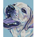 Wizardi Malen nach Zahlen Set. Labrador Retriever 13x16 cm MINI074