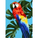 Wizardi painting by number kit. Macaw 13x16 cm MINI123