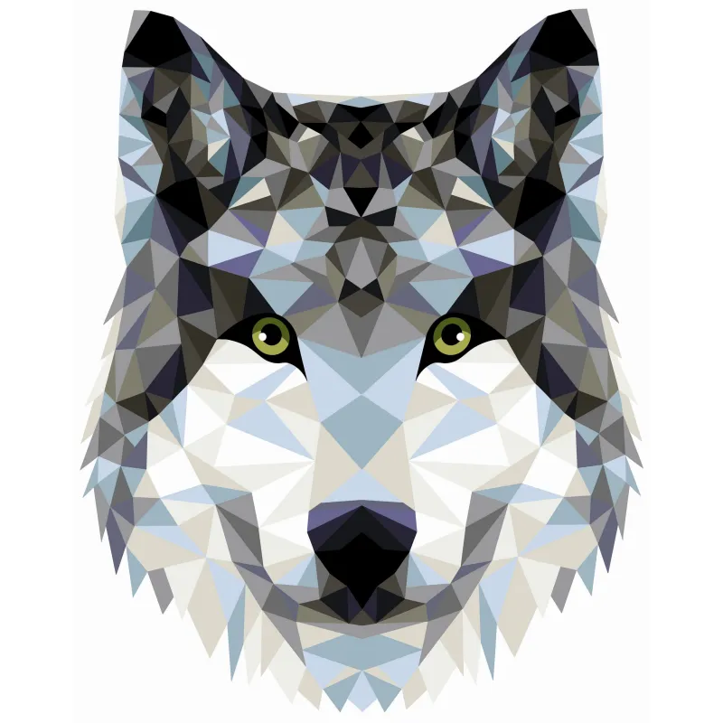 Malen-nach-Zahlen-Set. P004 Wolf (polygonaler Stil) 40*50