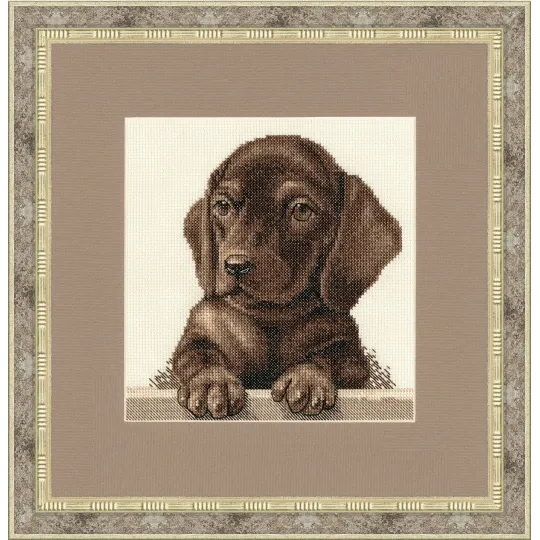 (Discontinued) Cross stitch kit "Dachshund Puppy" 18.3x18.3 cm S/NL041