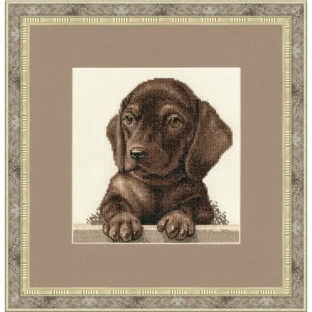 (Discontinued) Cross stitch kit "Dachshund Puppy" 18.3x18.3 cm S/NL041