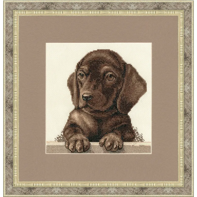 (Discontinued) Cross stitch kit "Dachshund Puppy" 18.3x18.3 cm S/NL041