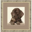 (Discontinued) Cross stitch kit "Dachshund Puppy" 18.3x18.3 cm S/NL041
