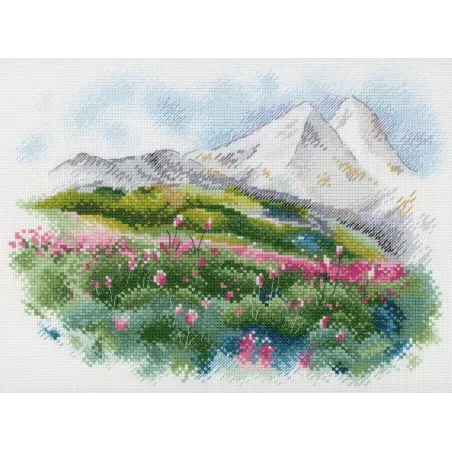 Sommer auf Elbrus SA-044
