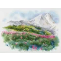 Summer on Elbrus SA-044