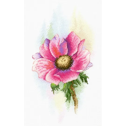 Pink Anemone SA-047