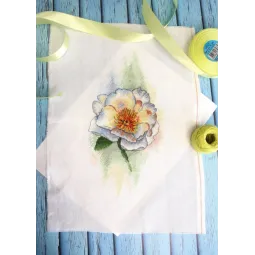 Baltas bijūnas SA-048