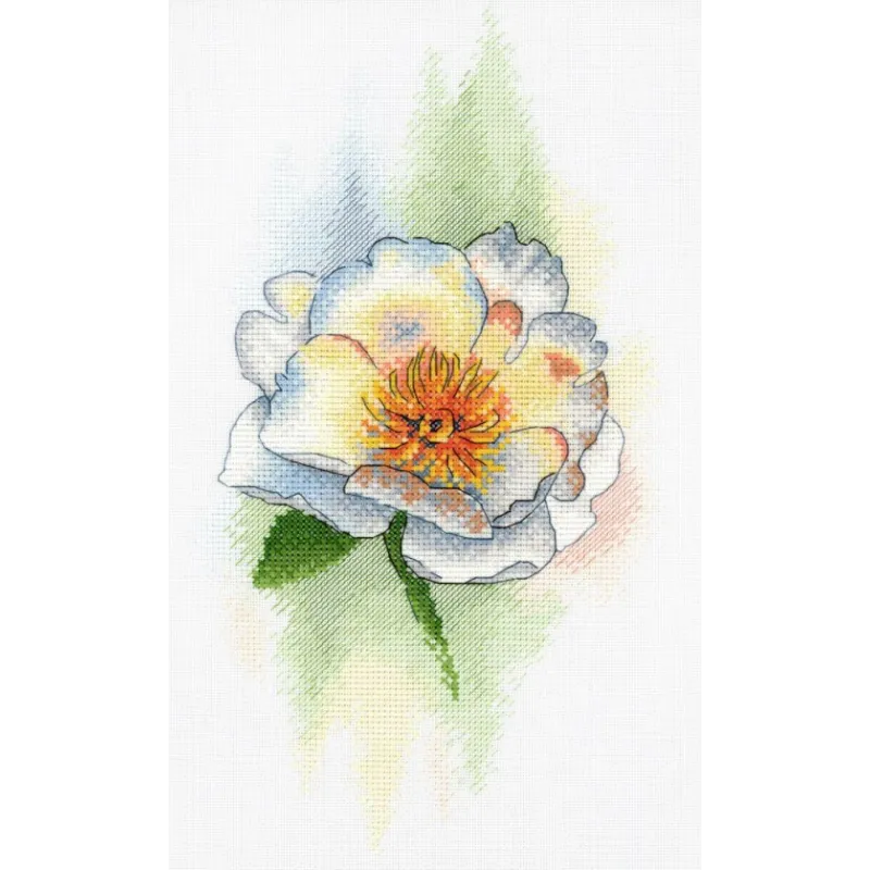 White Peony SA-048