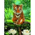 Malen-nach-Zahlen-Set Tiger und Seerosen 40x50 cm S052