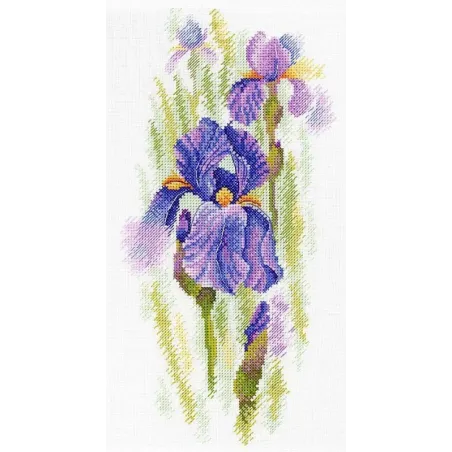 Ätherische Iris SA-020