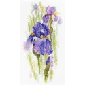 Ätherische Iris SA-020