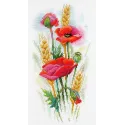 Charme de coquelicot SA-021