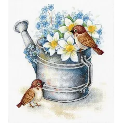 Narzissen-Liebhaber SA-026