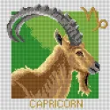 Toile de tapisserie Signes du zodiaque - Capricorne 24x30 SA3198