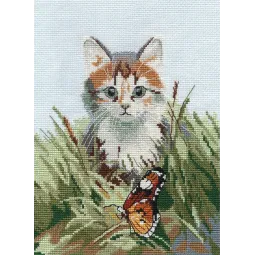 Nuostabus susitikimas S1339