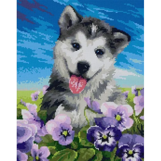 Diamantgemälde mit Hilfsrahmen „Husky in Blumen“ 40*50 cm DP008