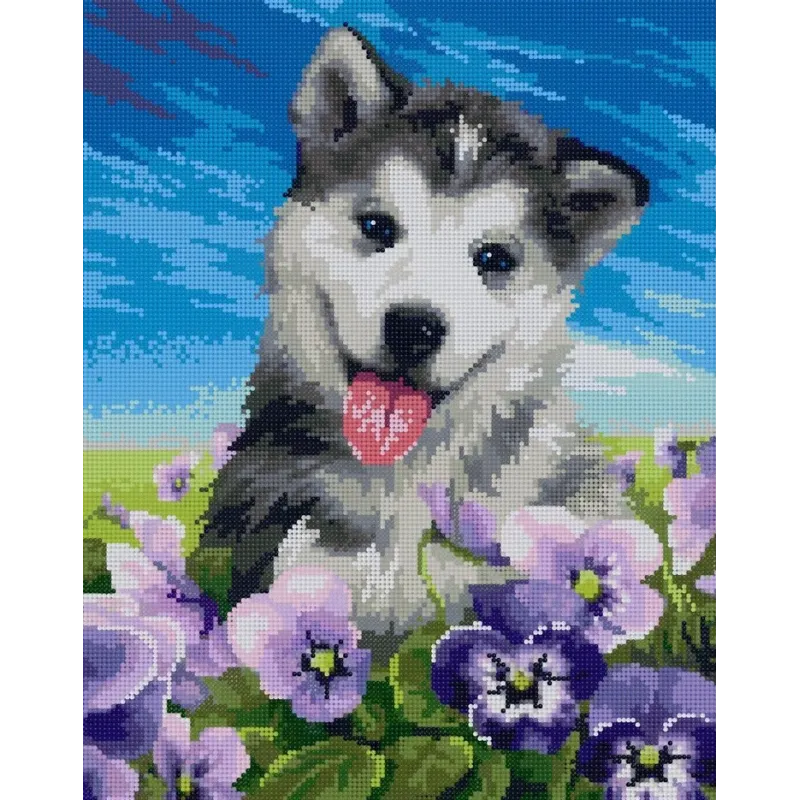 Diamantgemälde mit Hilfsrahmen „Husky in Blumen“ 40*50 cm DP008